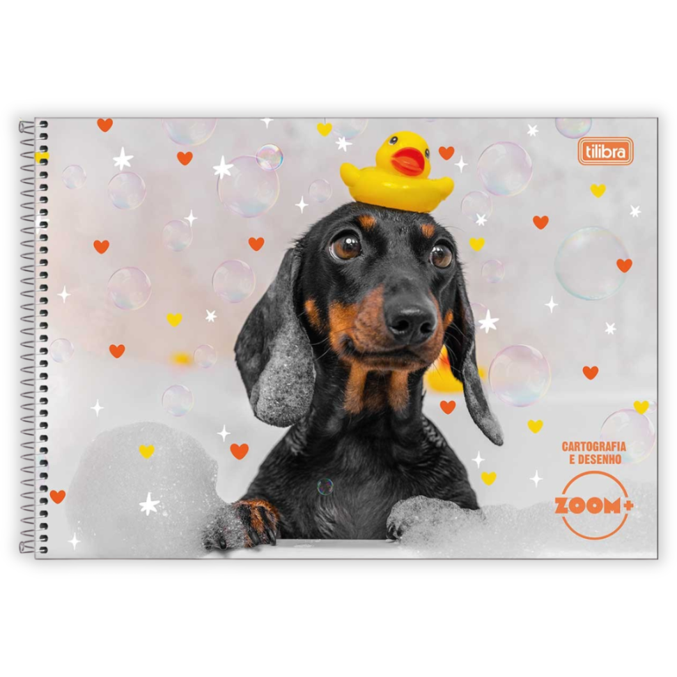 Caderno de Cartografia e Desenho Zoom+ Feminino Tilibra - #1