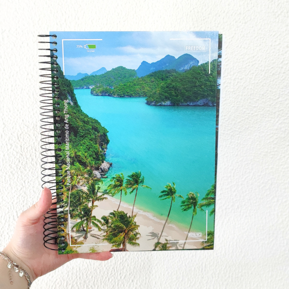 Caderno com Espiral Universitário Freedom 12 Matérias Animativa - #1