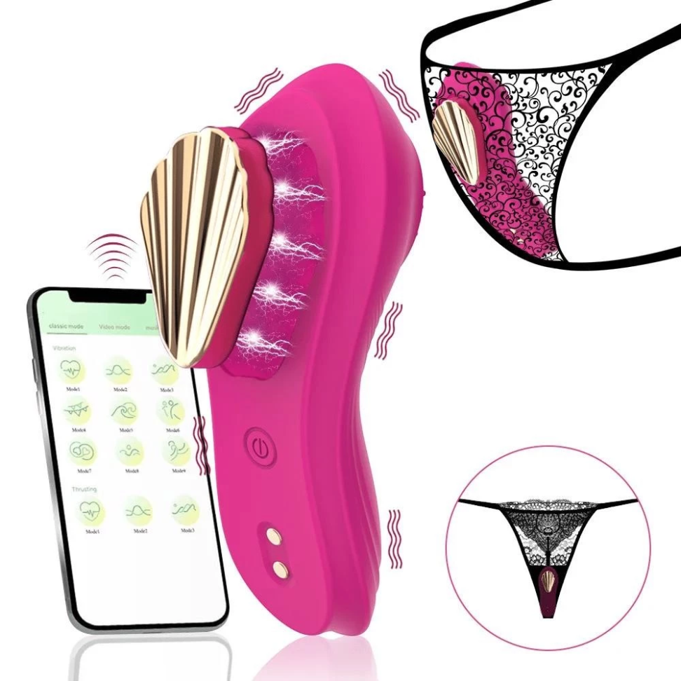 Vibrador Feminino Ponto G Clitóris Calcinha Recarregável Imã potente Controle Aplicativo