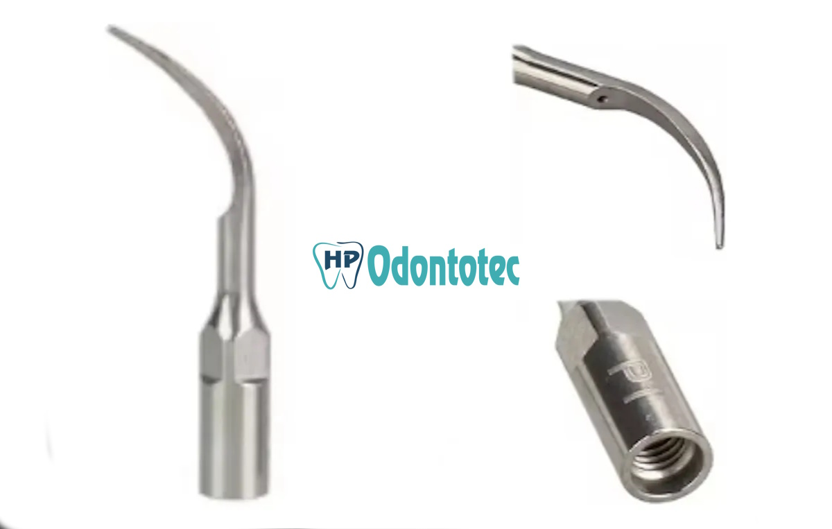 Ponta (Inserto) Modelo P1 Gnatus - #3