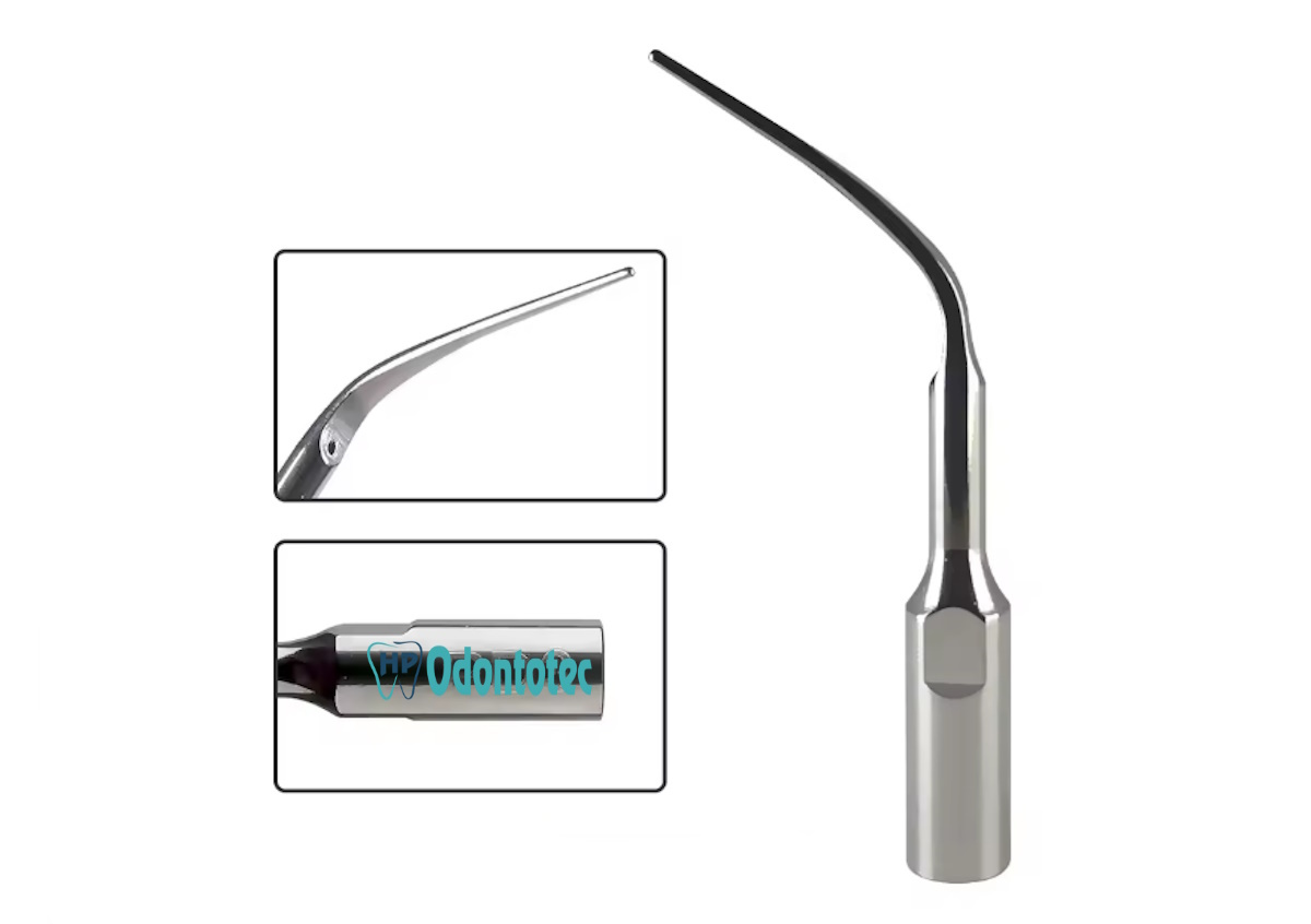 Ponta (Inserto) Modelo P3 Gnatus - #2