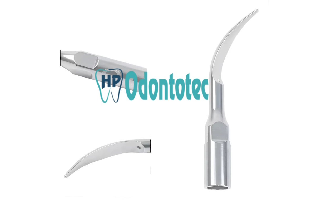 Ponta (Inserto) Modelo G1 Gnatus - #2