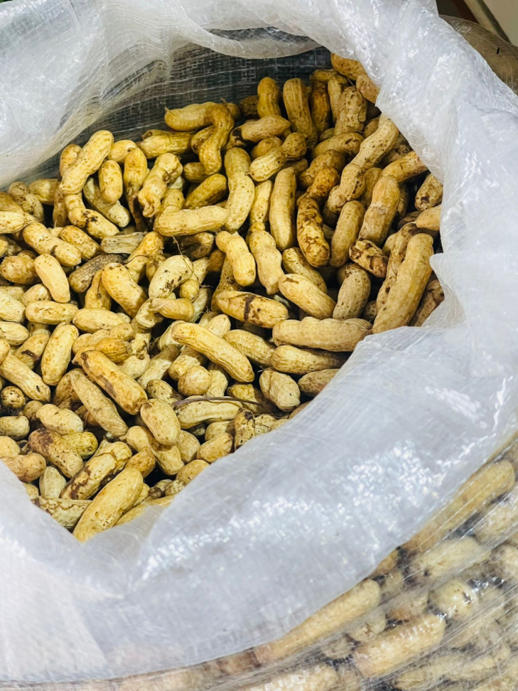 Amendoim Cozido - #2