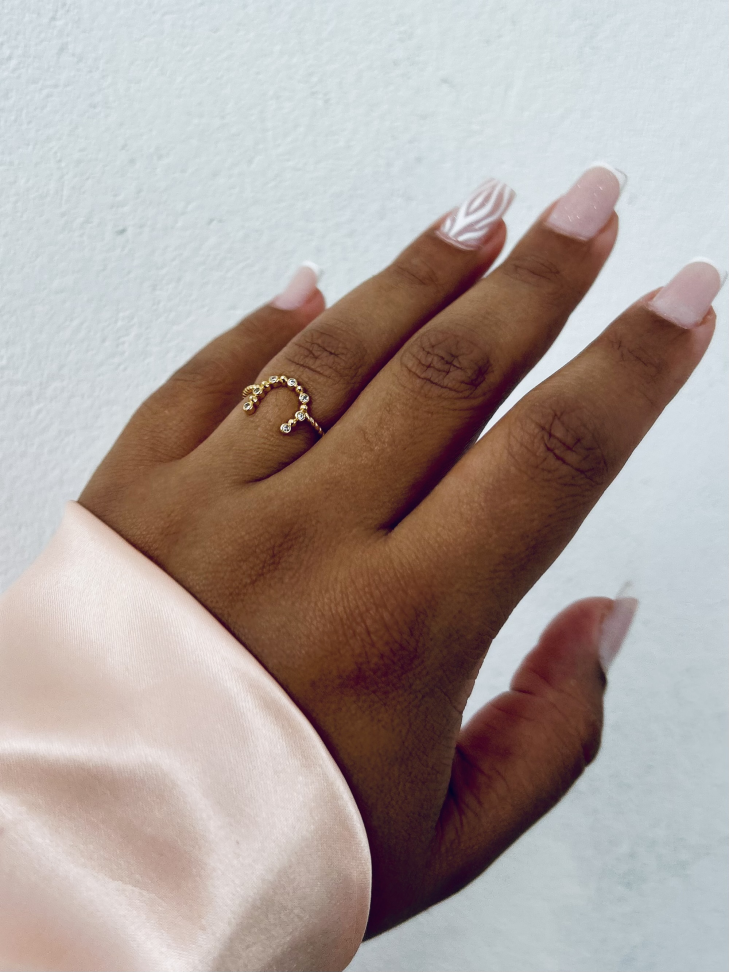 Anel Ferradura Proteção Cravejada – Ouro 18K | Seu Amuleto de Poder - #24