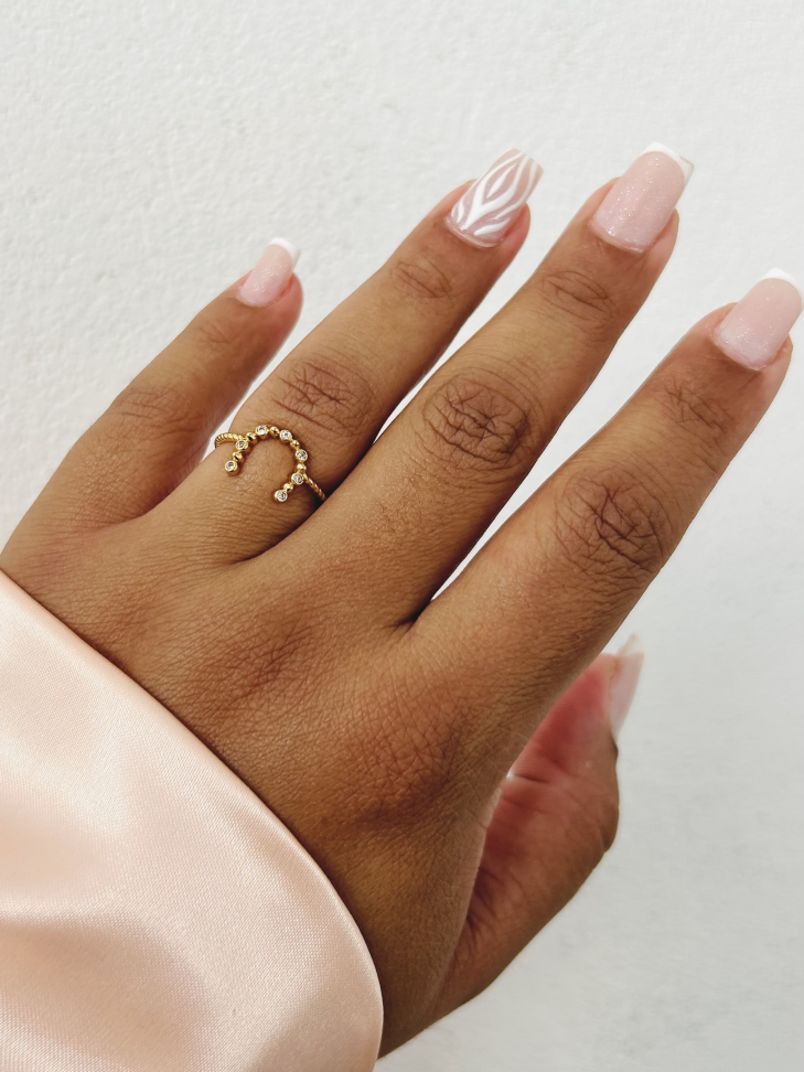 Anel Ferradura Proteção Cravejada – Ouro 18K | Seu Amuleto de Poder - #26