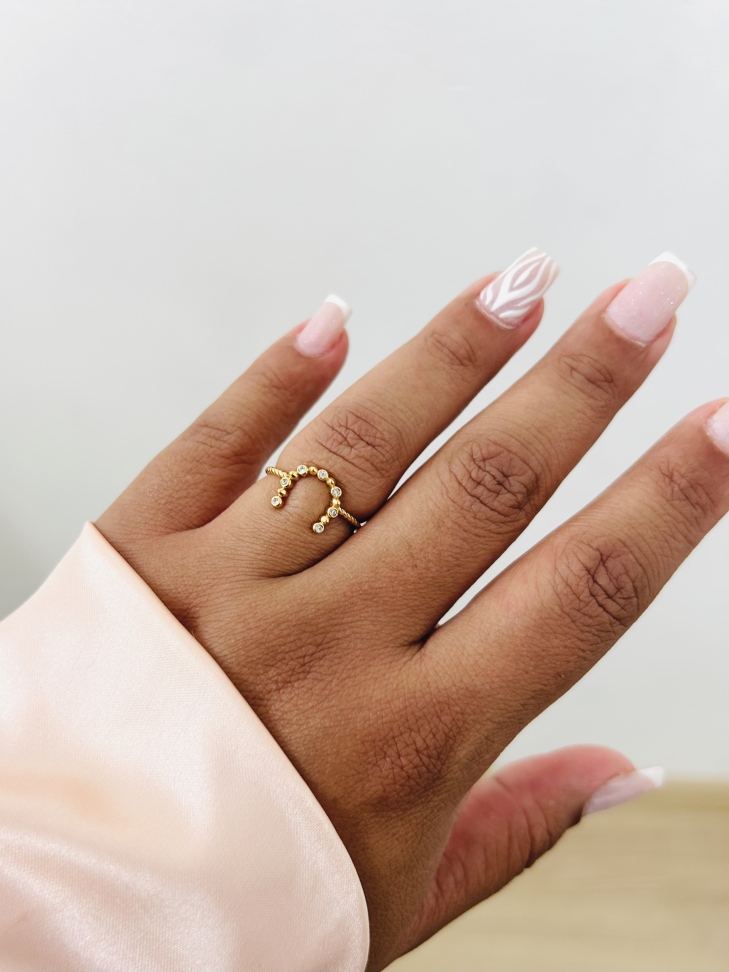 Anel Ferradura Proteção Cravejada – Ouro 18K | Seu Amuleto de Poder - #27