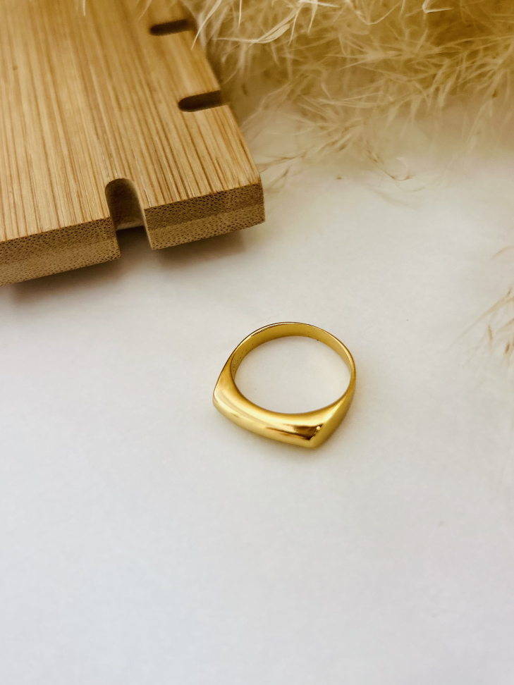 Anel de Sinete Clássico Banhado Ouro 18k (Signet Ring) - #4