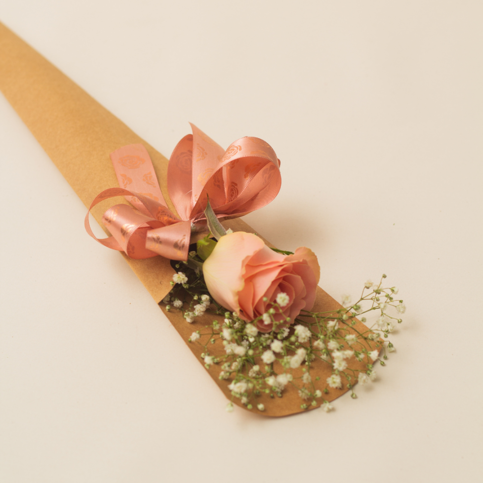 Rosa Única no Cone - #2