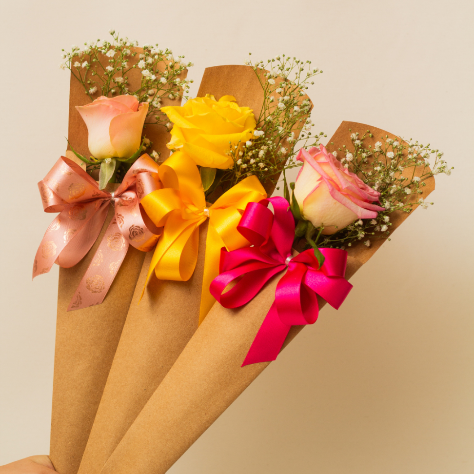 Rosa Única no Cone - #3