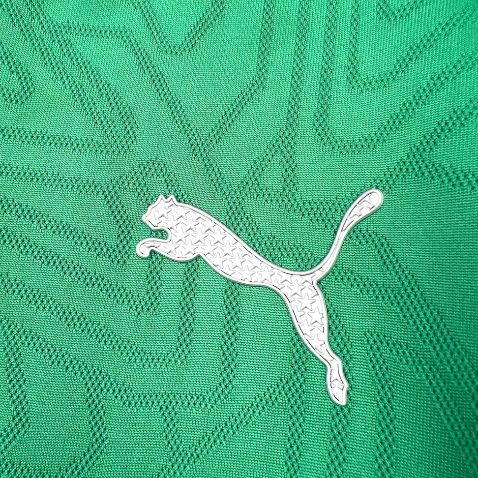 Palmeiras Treino 25/26 Torcedor - #6