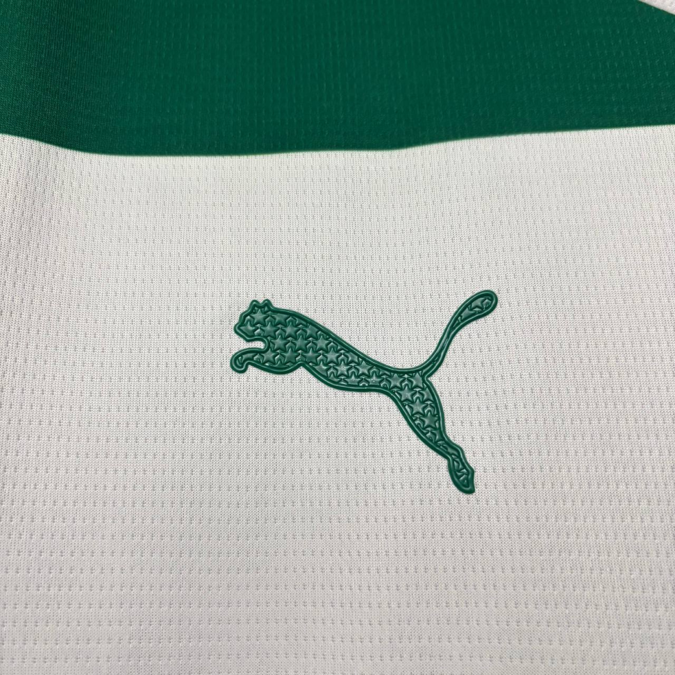 Palmeiras Edição Especial 25/26 Torcedor - #5