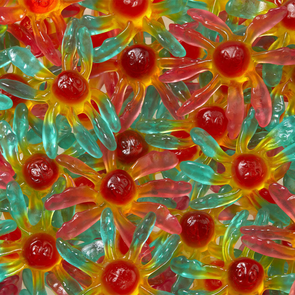 Polvo 80g - Fini - #3