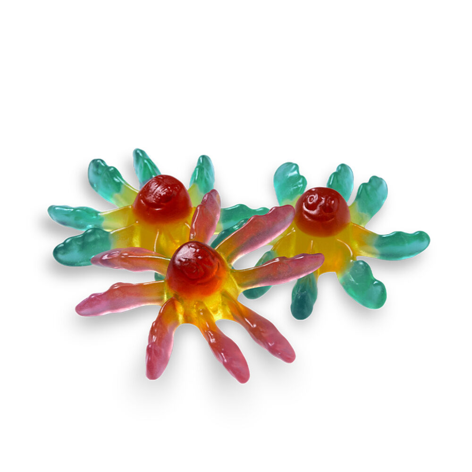 Polvo 80g - Fini - #2