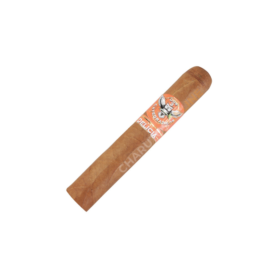 LOS 3 CATEDRATICOS ROBUSTO DELICIA - #1