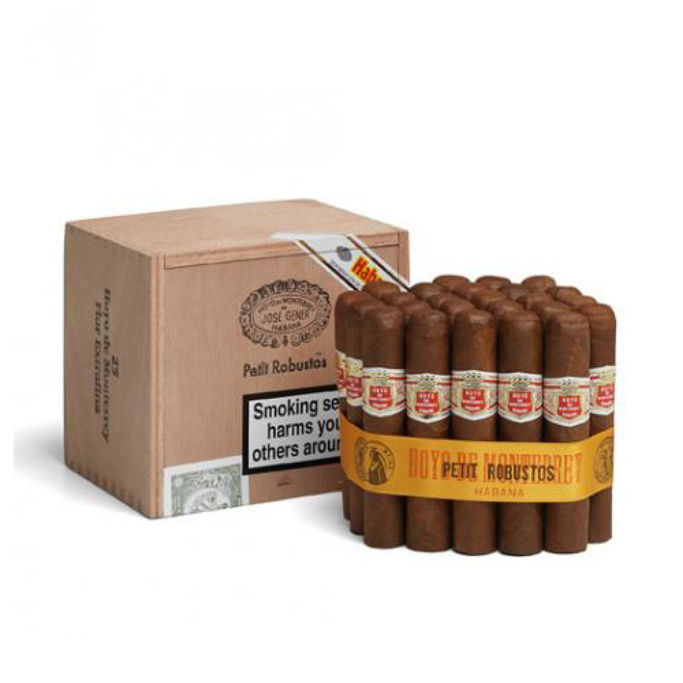 HOYO DE MONTERREY PETIT ROBUSTO - #1