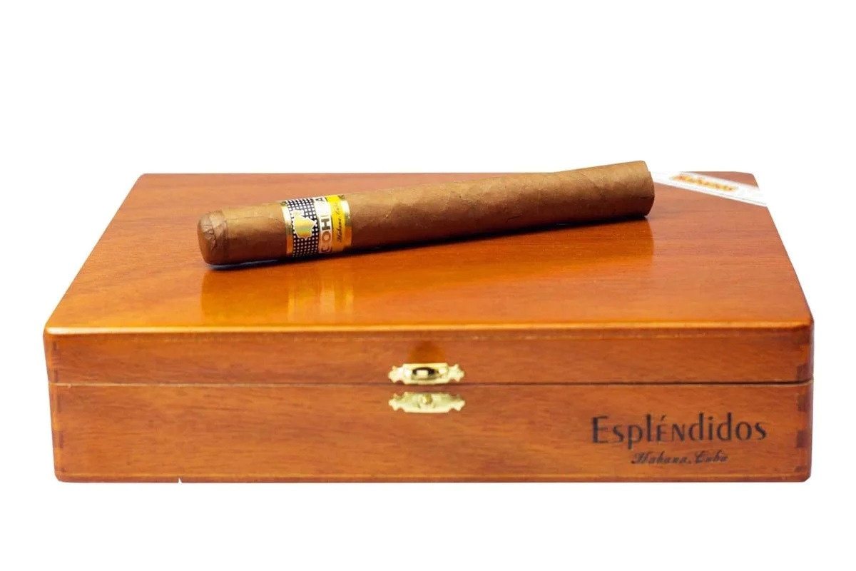 COHIBA ESPLENDIDOS - #1