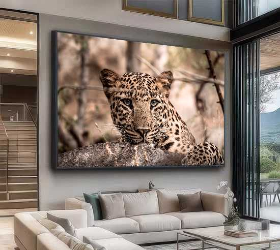 QUADRO O OLHAR DA LINDA ONÇA - #2