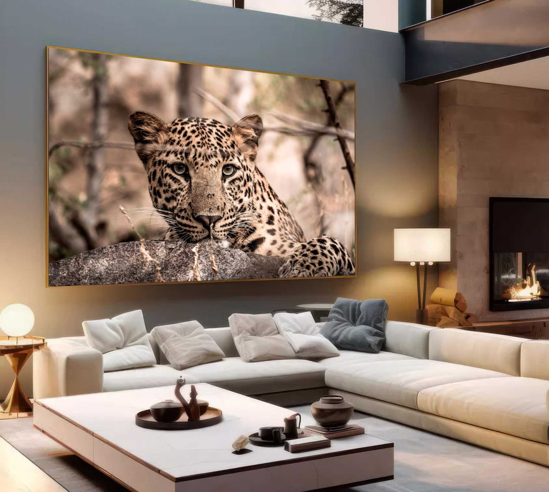 QUADRO O OLHAR DA LINDA ONÇA - #3