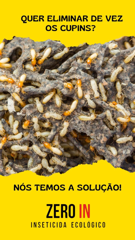 Inseticida ecológico Zero in 500ml - #6