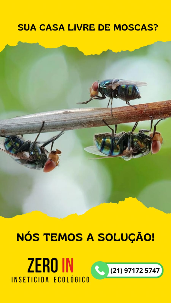 Inseticida ecológico Zero in 500ml - #3