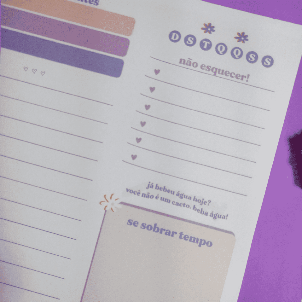 Planner Diário - Meu Dia Mais Que Perfeito - #2