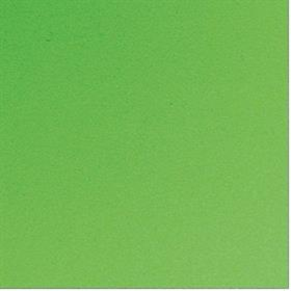 Placa em EVA  Liso Verde Claro 48x40cm