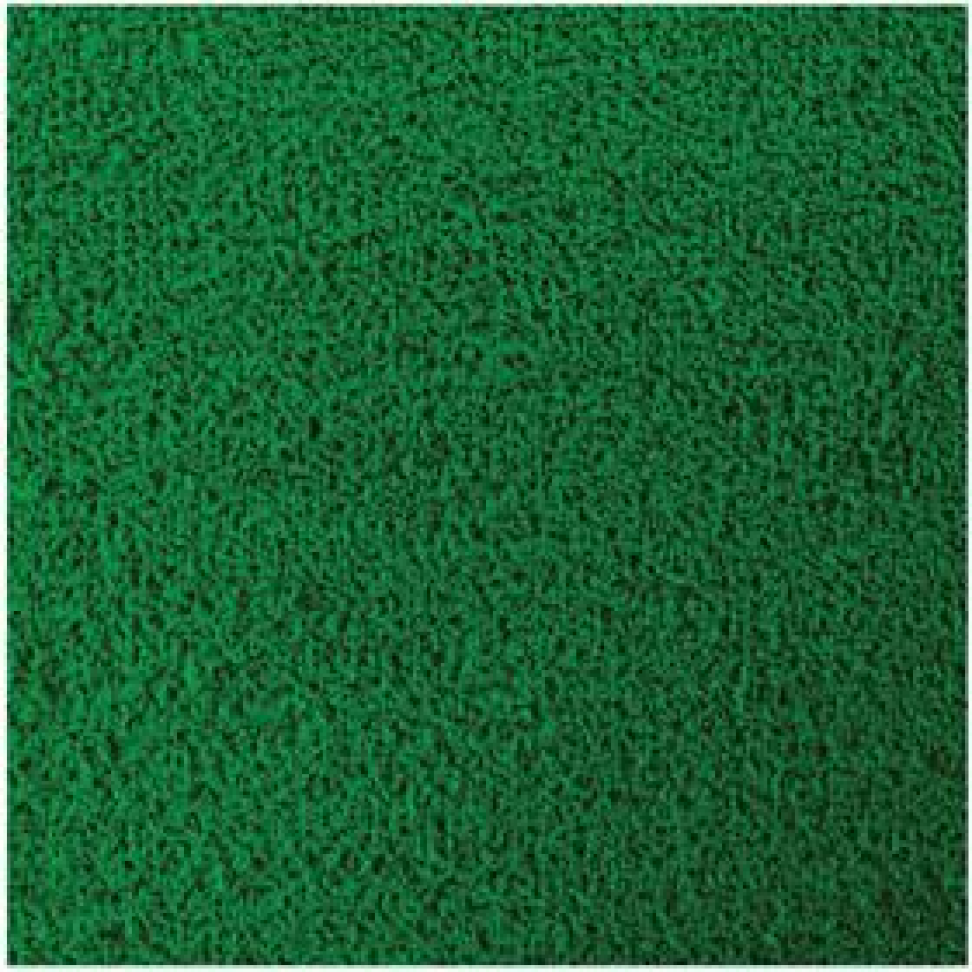 Placa em EVA Atoalhado Verde Escuro 48x40cm