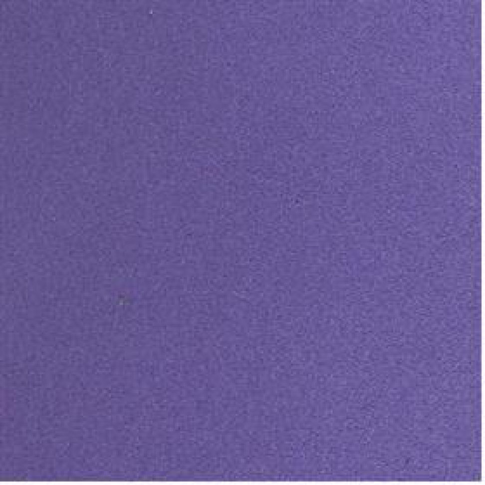 Placa em EVA Liso Roxo 48x40cm