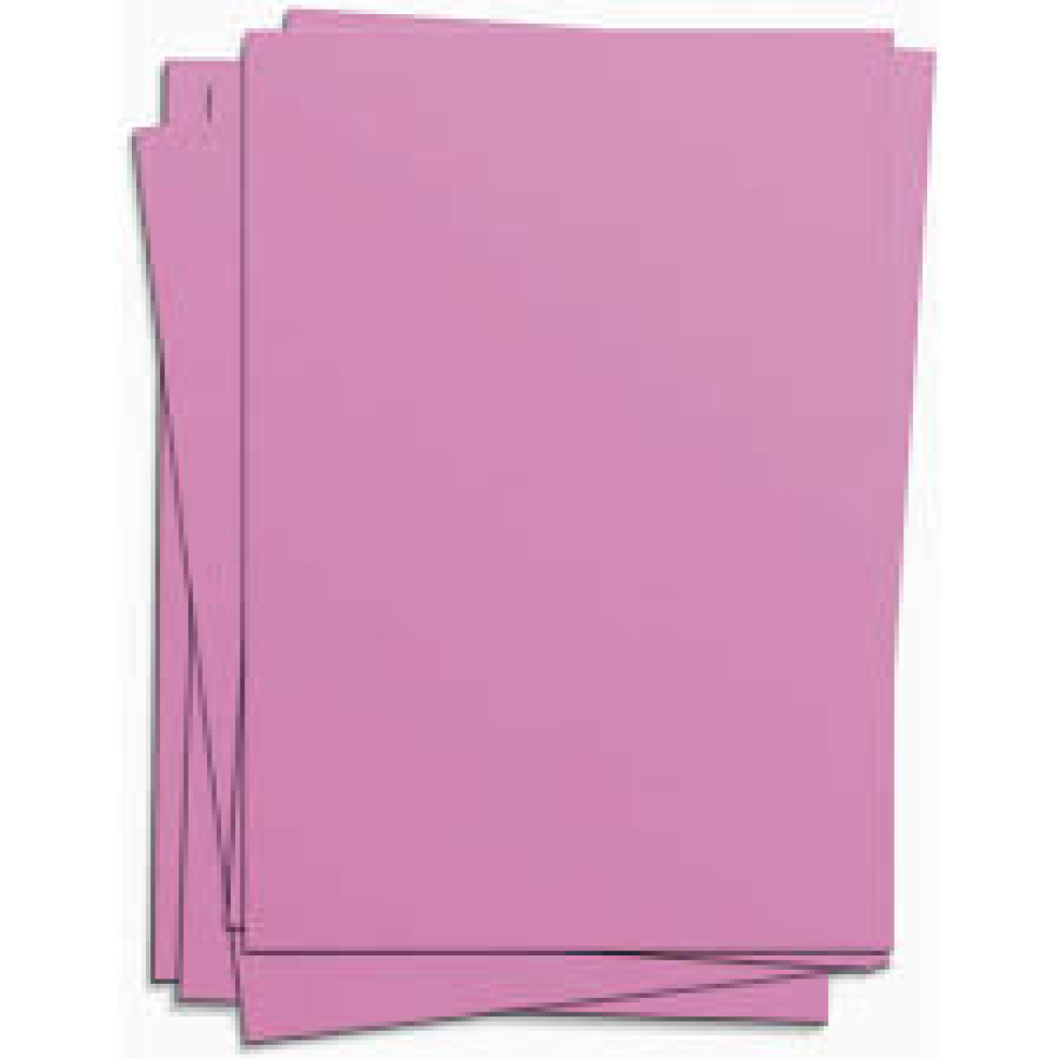 Cartolina Rosa  50x66cm.140grs.