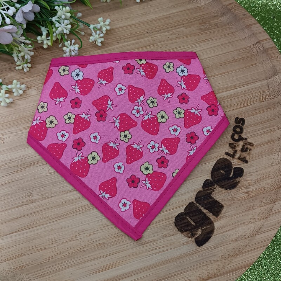 FT17-Bandana de Frutas para Fêmea