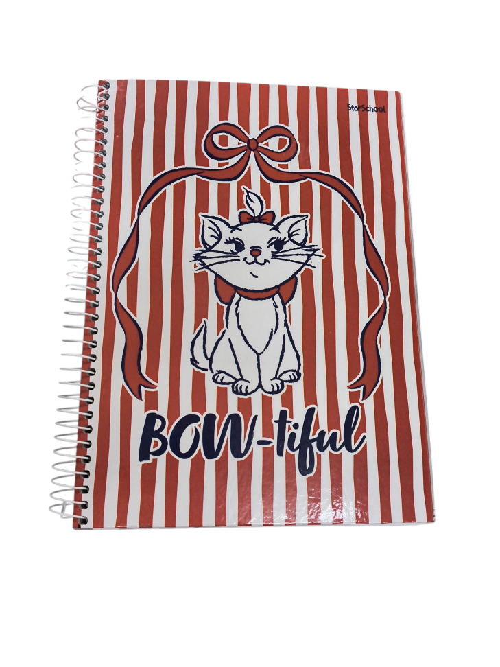 Caderno 10 matérias Marie Disney 160 folhas