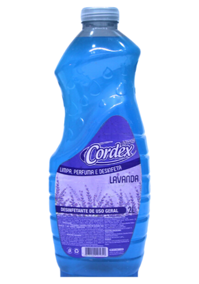 Desinfetante 2L - #1