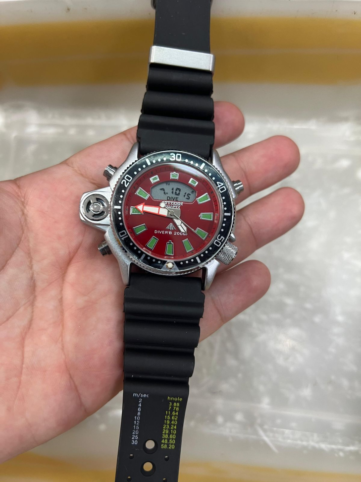 Citizen Aqualand - #11