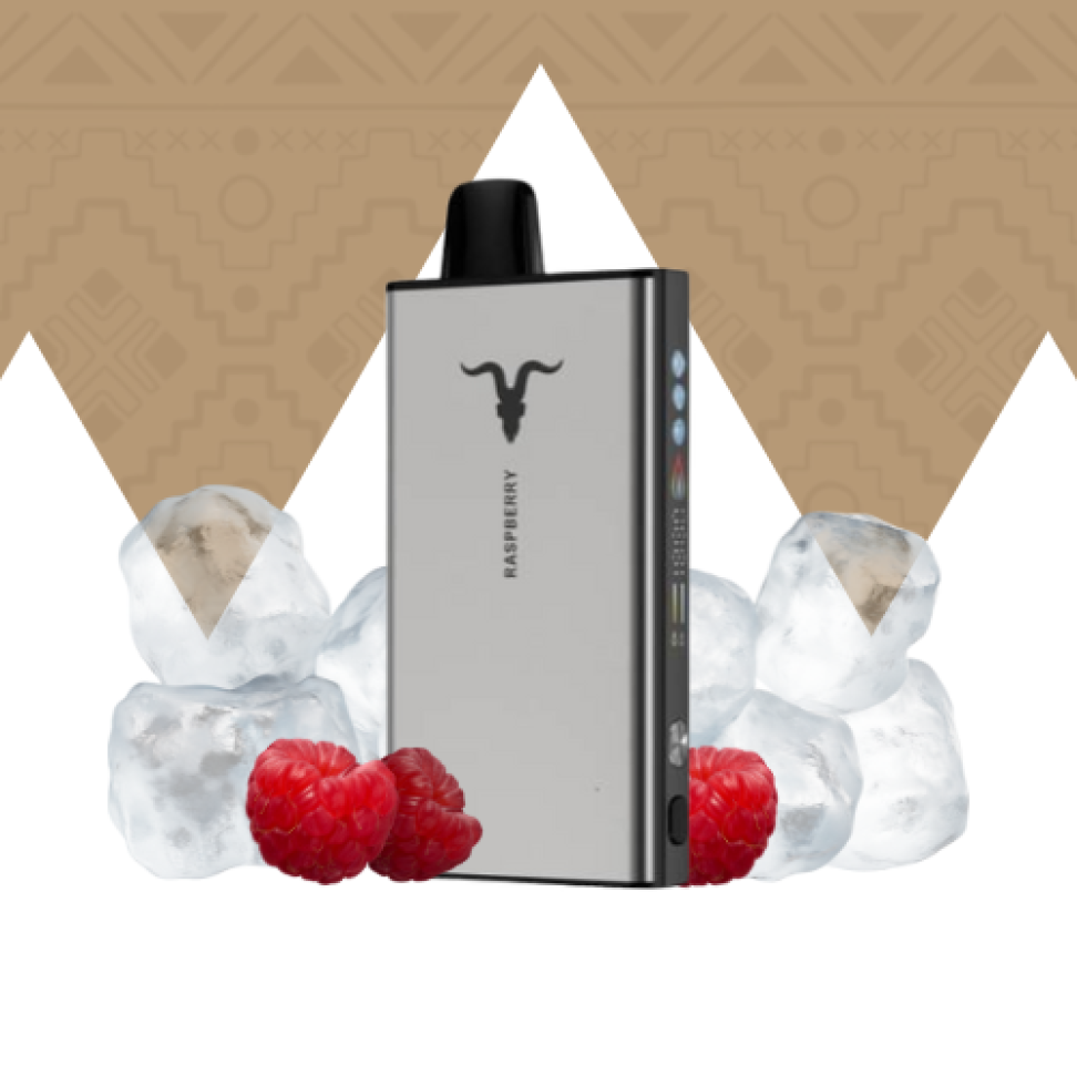 V400 ice