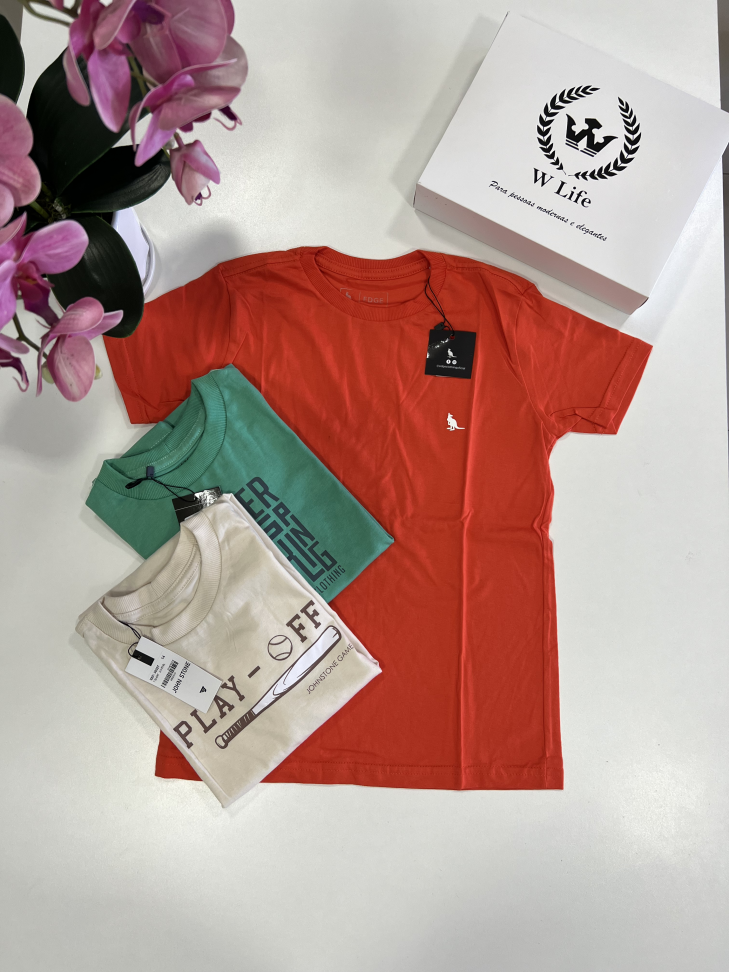 T-SHIRT JUVENIL MASCULINA - IDADE-10 AOS 16 ANOS