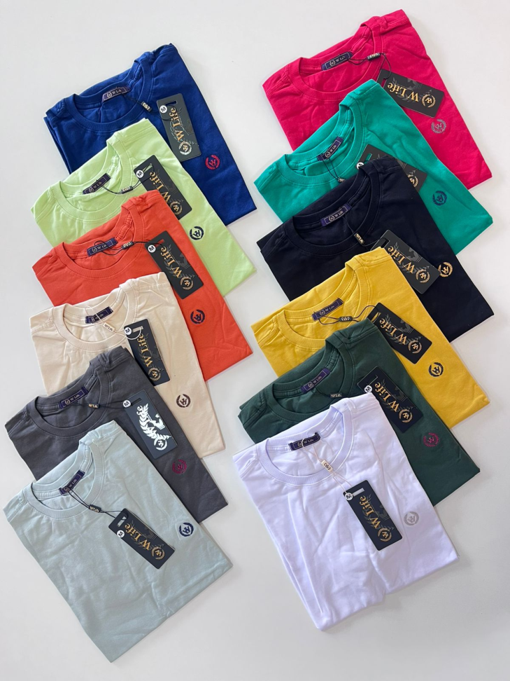 T SHIRT BASICA FIO 40.1   ( Tamanho P ao GG )