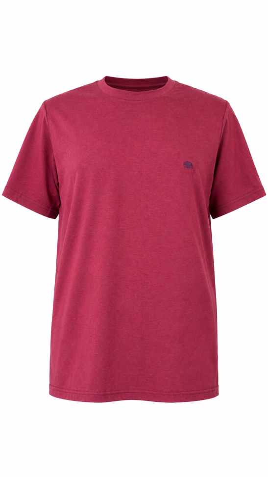 CAMISA BASICA FIO 30.1 - #5