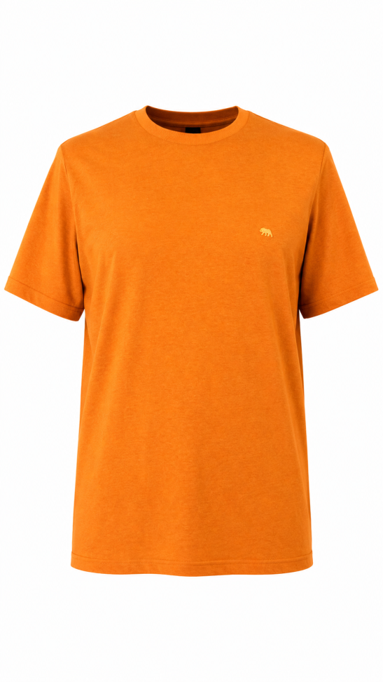 CAMISA BASICA FIO 30.1 - #3