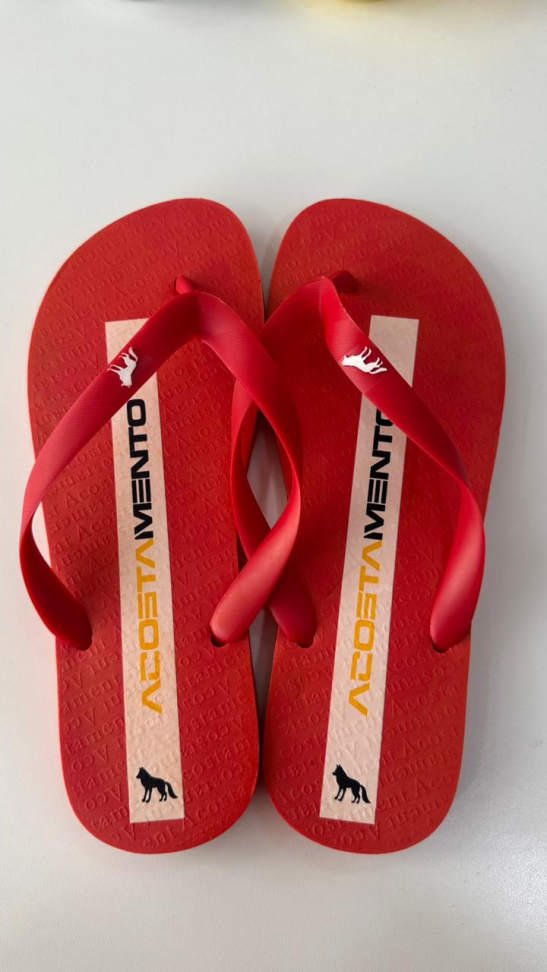 CHINELO 1° LINHA MULTIMARCAS  ( Tamanho 37 ao 44 ) - #8