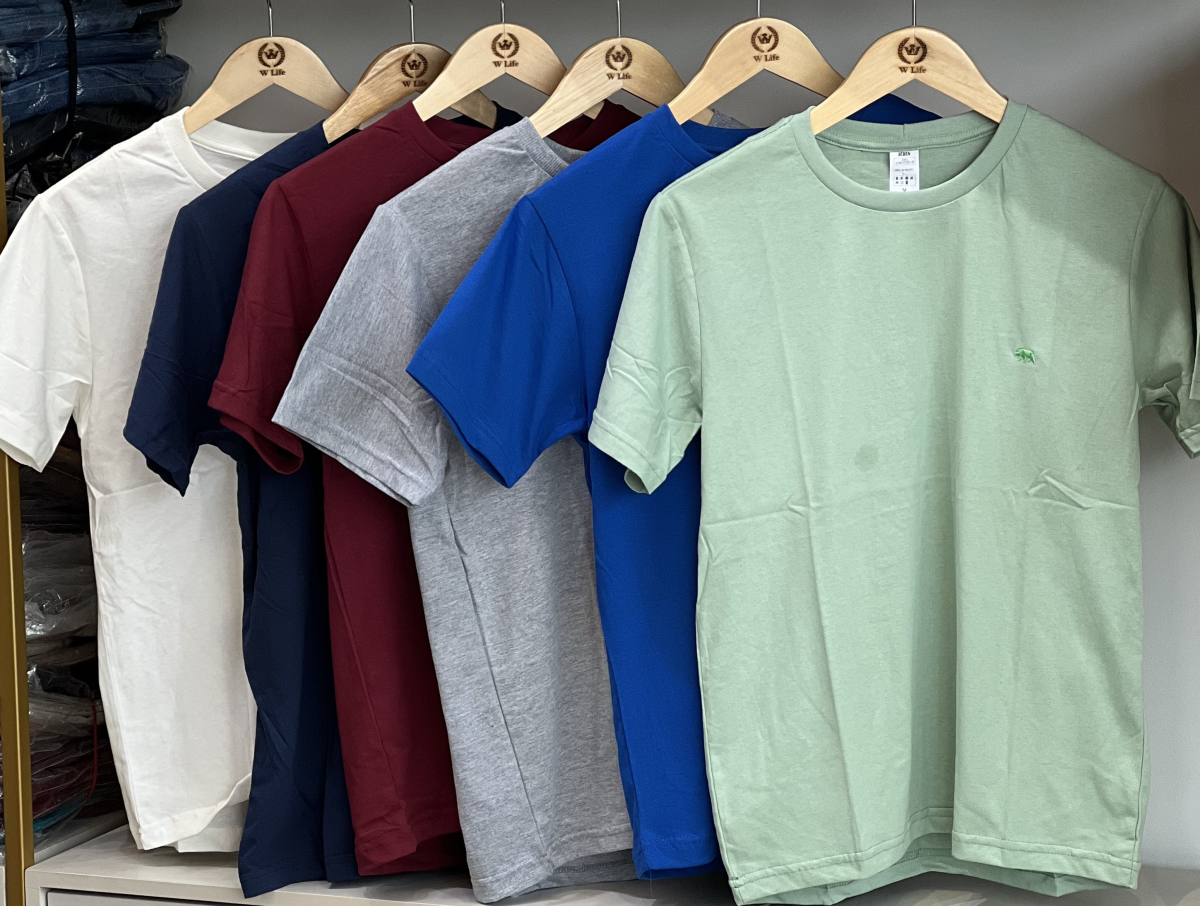 CAMISA BASICA ALGODÃO SIMPLES ( Tamanho P ao GG )