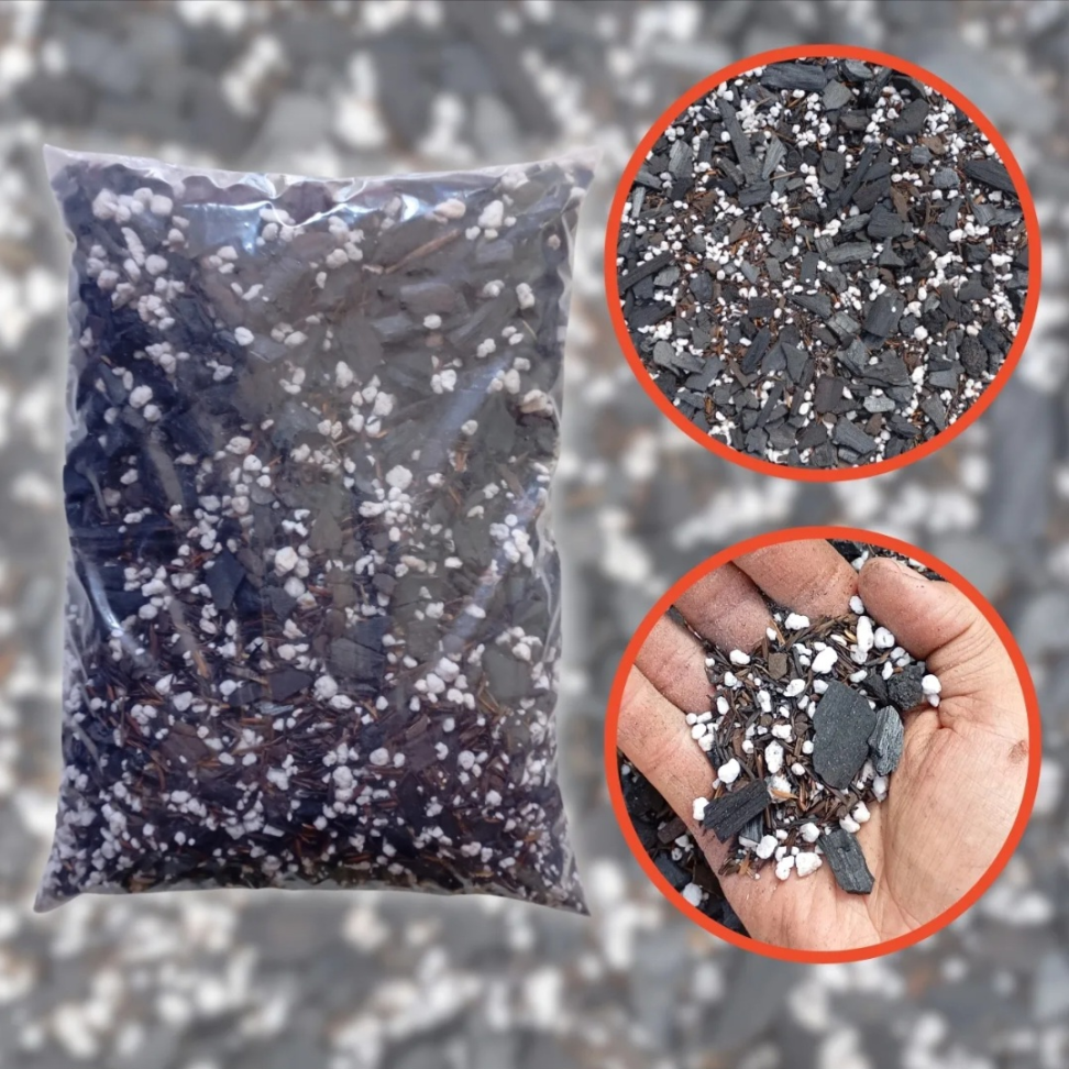 Substrato para cactos e suculentas- 5 litros - #3