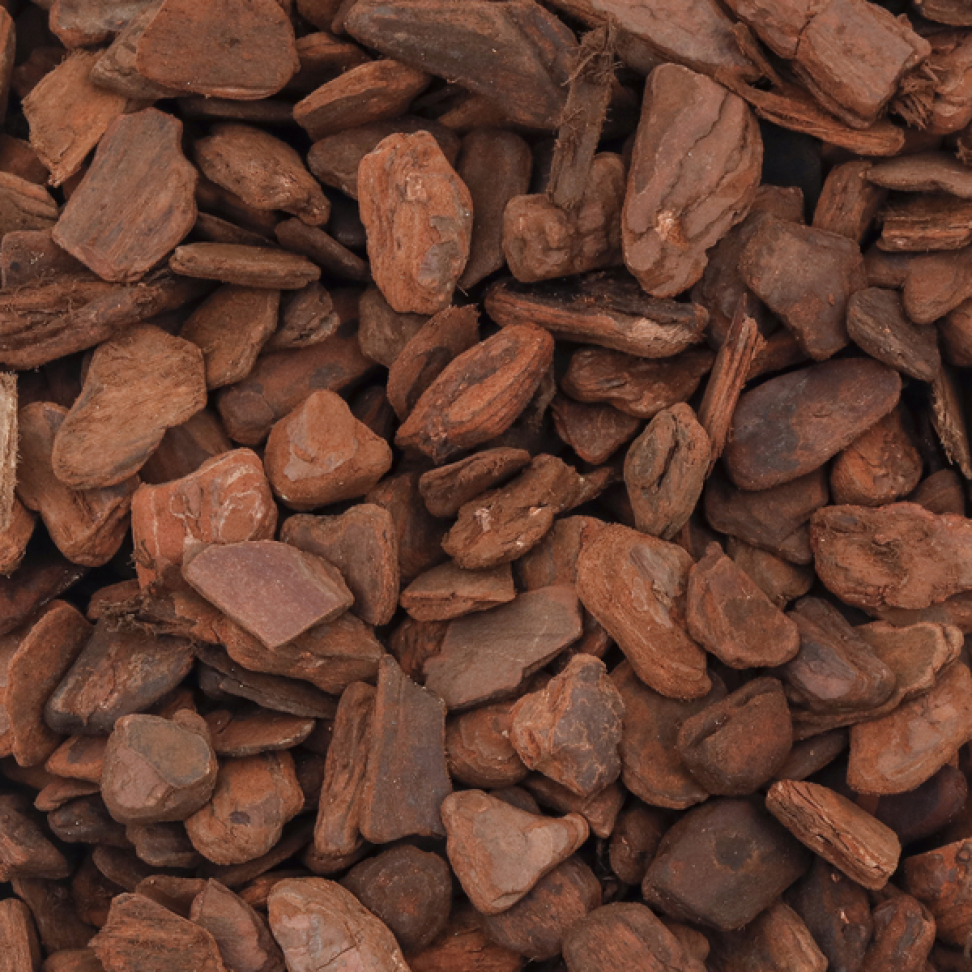 Casca de pinus polida 40 litros - #2