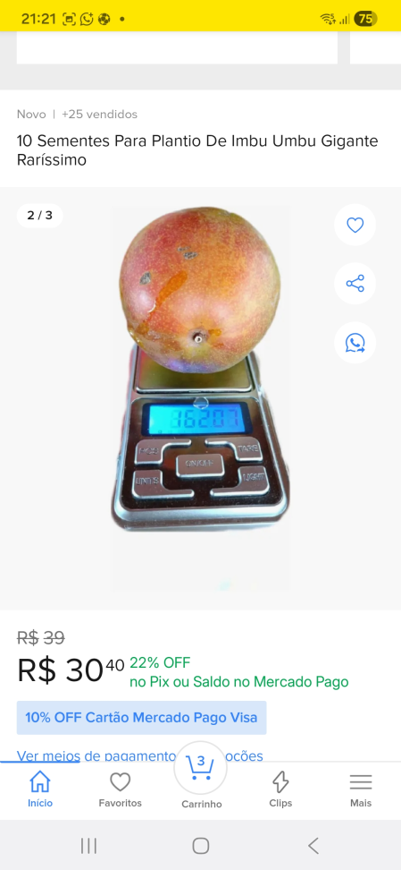 Umbu Gigante (saquinho) - #2