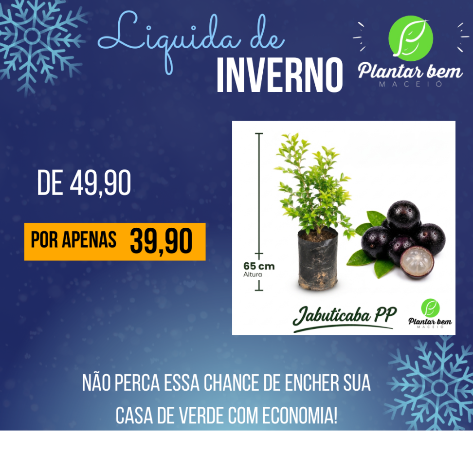 Jabuticaba híbrida PP ( 65 m) - Alporquia