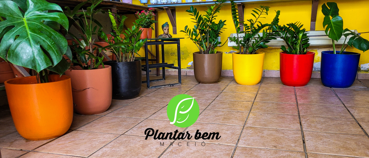 Vaso de cimento pintado 35 x 35 cm - #2