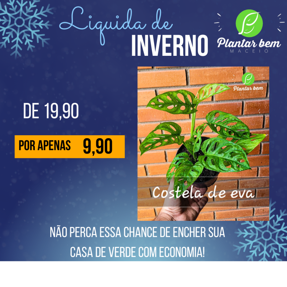 Costela de eva P14