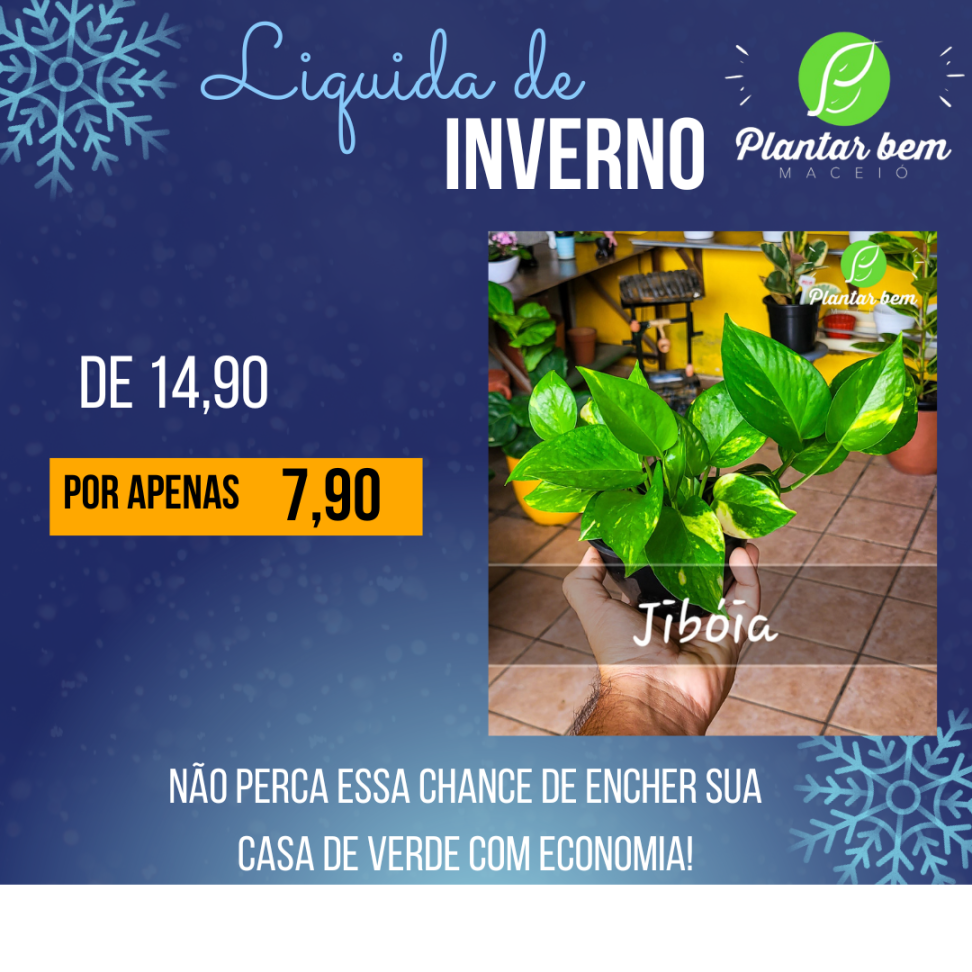 Jiboia C13