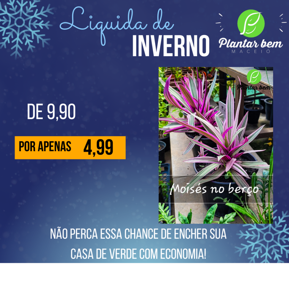 Moisés no berço P14