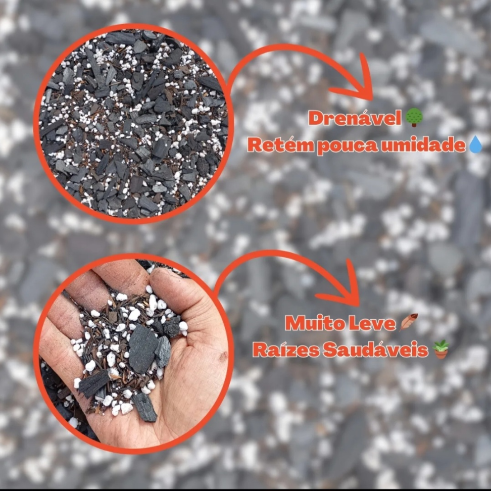 Substrato para cactos e suculentas- 5 litros - #4