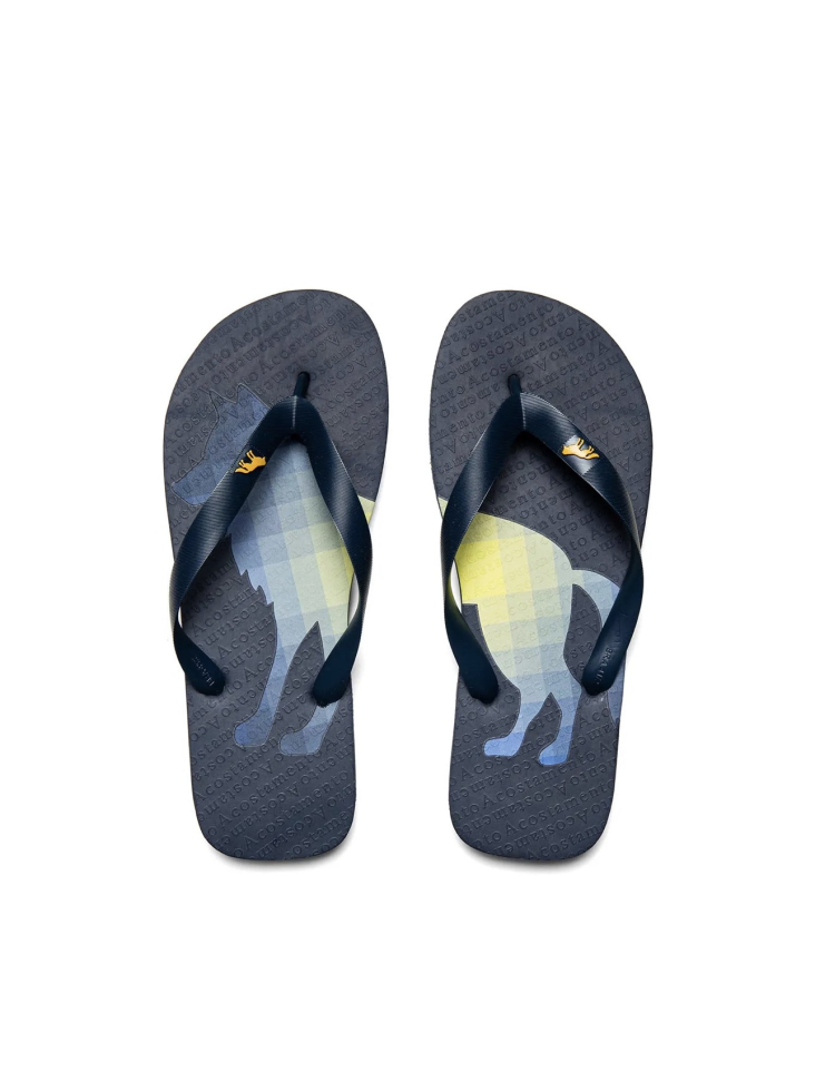 Chinelo Acostamento